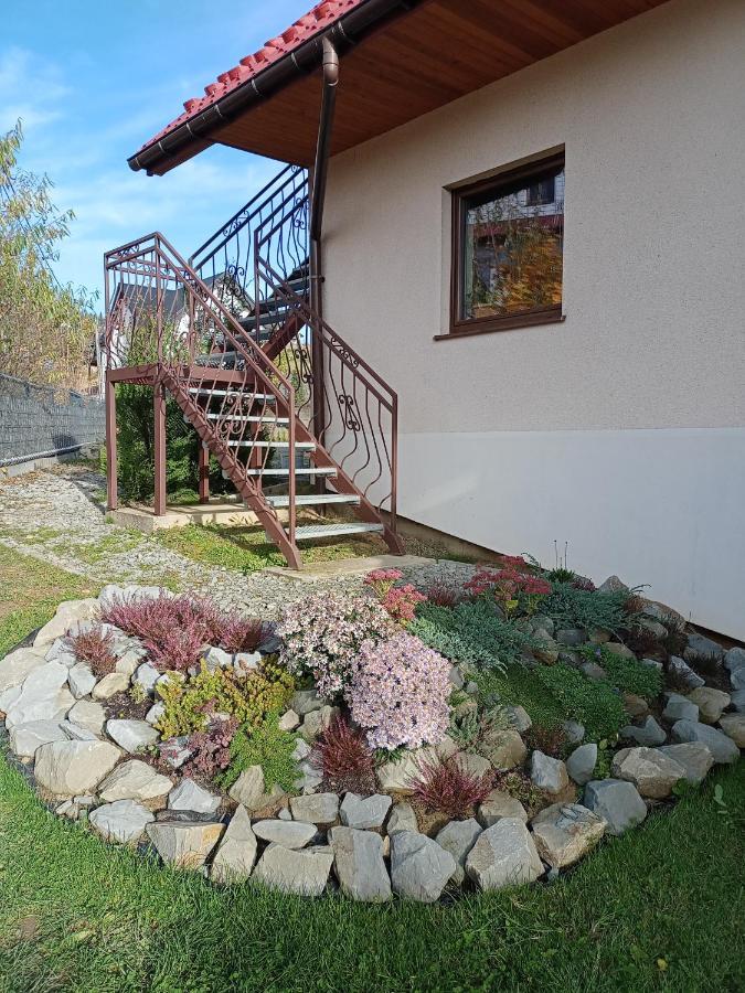 Hortensjowy Zakatek W Pieninach Sromowce Wyzne Exterior photo